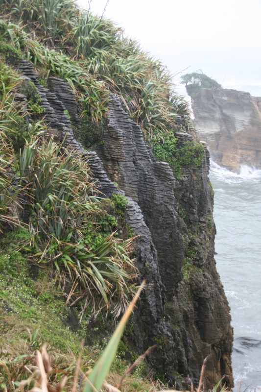 Nieuw-Zeeland 2011 - 1306